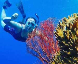 snorkeling menjangan