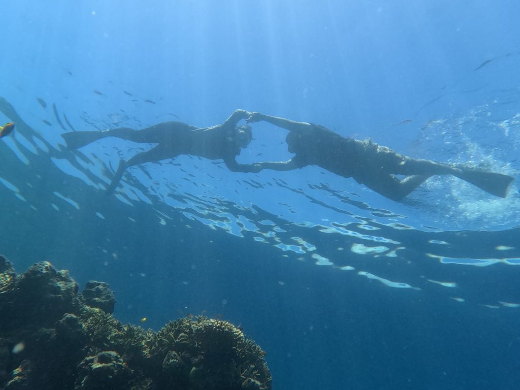 "tourists snorkeling in menjangan island"