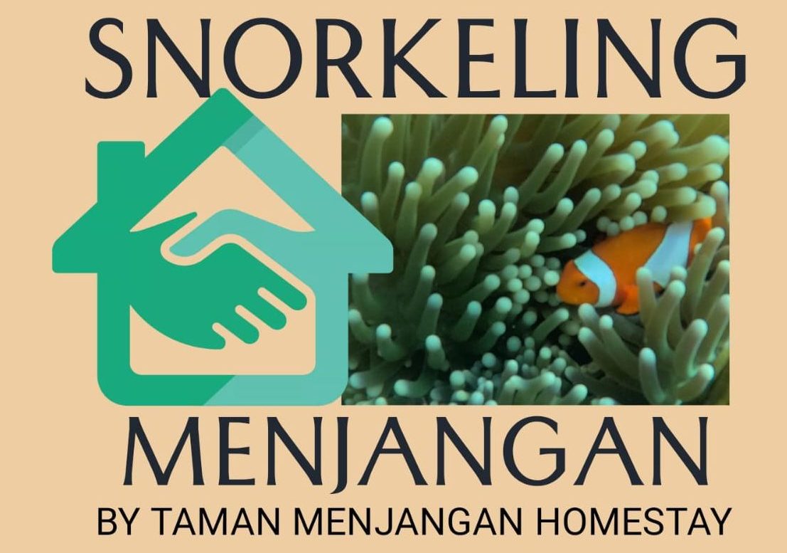 Menjangan snorkeling tour