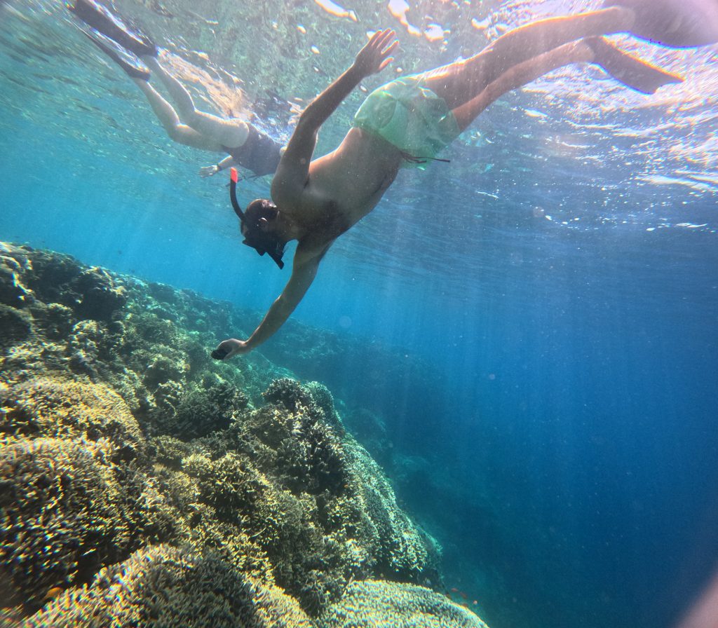 "free dive"