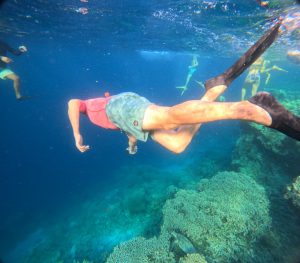 snorkeling menjangan island west bali